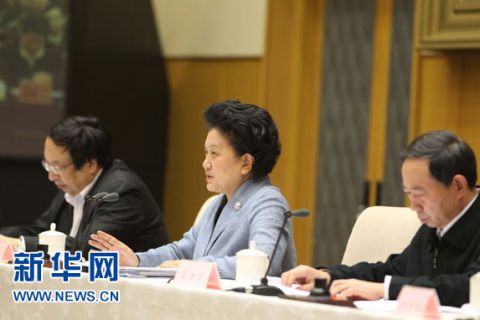 刘延东出席全国学前教育工作电视电话会议